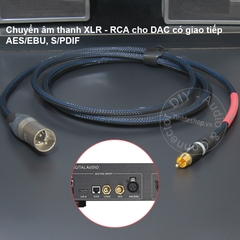 Cáp AES/EBU 110 Ohm hoa sen sang canon 0.2 đến 10 mét - DIY AES EBU XLR male to RCA digital audio cable