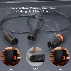 Dây canon 4pin sang 2 canon 3pin chuyển âm thanh balanced từ DAC sang loa kiểm âm - XLR 3p  male to 2 XLR male cable