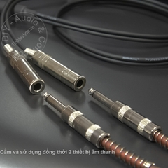 Cáp chia 6ly 1 ra 2 DIY 0.2M đến 1M - Dây 6.5 đực sang 2 cái mono dùng song song