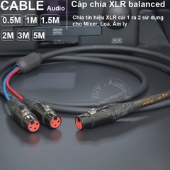 Jack chia XLR cái sang 2 cổng cái cắm cho Mixer Micro Vang - Do-it-yourself XLR female to 2-port female splitter cable