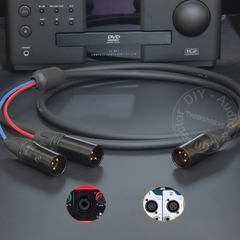 Dây chuyển canon đực sang 2 đực cắm Micro MIxer Đẩy - XLR male to 2 male balanced signal splitter cable