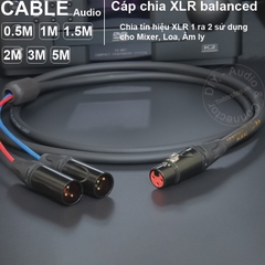 Dây jack canon cái sang 2 đực cắm cho Mixer Loa Micro - 1 female to 2 male XLR splitter cable