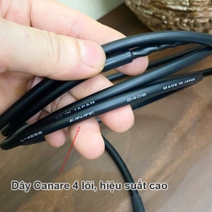 Dây chia cổng AV jack bông sen 1 thành 2 hiệu suất cao Canare Nhật Bản cắm cho Subwoofer hoặc chia 1 âm ly cho 2 loa