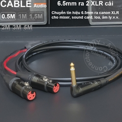 Dây chuyển 6.5 sang 2 XLR cái DIY 0.5 đến 5 mét - 1/4 TS to 2 female canon audio cable