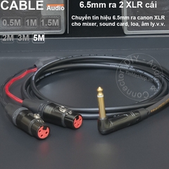 Dây chuyển 6.5 sang 2 XLR cái DIY 0.5 đến 5 mét - 1/4 TS to 2 female canon audio cable