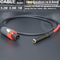 Dây loa sang 6 ly cái 0.5 đến 1 mét - Do-it-yourself female to 6.5mm speakon speaker cable
