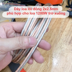 Dây loa bắp chuối sang speakon chuyển âm thanh cho Đẩy Âm ly Loa Sub