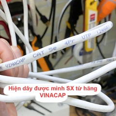 Dây mạng Cat5 UTP 10 pin RJ48 RJ50 bấm sẵn 10Cm đến 30 mét