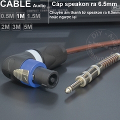 Dây loa sang 6.5mm chuyển từ Bộ đẩy sang Loa Âm ly DIY 0.5 đến 10 mét - Speakon to 1/4 mono cable