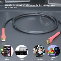 Dây 2 dầu USB đực cho DAC AMP Mixer - USB male to USB male audio cable for digital music