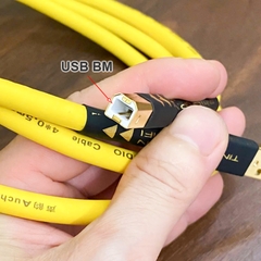 Dây cấp nhạc từ máy tính qua DAC AMP đồng mạ bạc hiệu suất cao âm thanh sáng