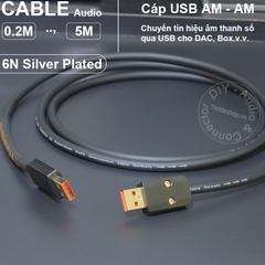 Dây USB A sang C cho DAC lõi đồng 6N mạ bạc - USB 2.0 AM to CM OTG cable