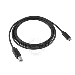 Cáp USB USB C sang USB BM cắm cho Máy in, Sound card - USB-CM to USB 2.0 BM cable