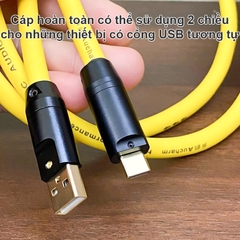 Dây USB A sang C để cắm Máy tính sang DAC đồng 4N OFC mạ bạc