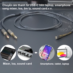 Dây USB type C sang 6.5mm 2 đầu R-L DAC 32bit - USB C to 6.35mm 2-port cable transfers audio from Smartphone Tablet Laptop to Speaker Mixer