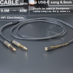 USB type C sang 6.5 stereo 0.5 đến 5 mét - USB-C to 6.35mm TRS HIFI ALC5686 32bit cable