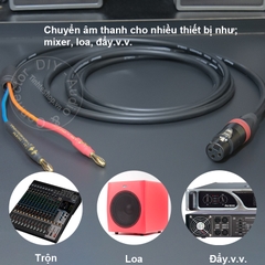 Dây canon cái sang jack bắp chuối chuyển âm thanh cho Đẩy Mixer Loa Âm ly - Audio cable from female XLR to banana cable made by hand