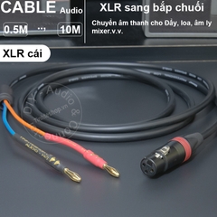 Dây canon cái sang jack bắp chuối chuyển âm thanh cho Đẩy Mixer Loa Âm ly - Audio cable from female XLR to banana cable made by hand