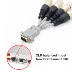 Customized DB9 To XLR Analog Audio Cable For Exstreamer 1000, 500