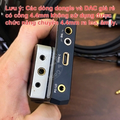Cáp BAL 4.4 sang 2 đầu hoa sen đồng mạ bạc có thể dùng cho 2 loa 2 bên