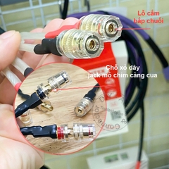 Rắc loa cho âm ly Châu Âu Bang & Olufsen dây đồng Van Den Hul - 2-pin DIN audio plug from amplifier to banana plug