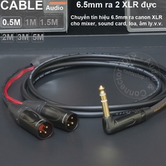 Jack 6 ly ra canon DIY 0.5 đến 5 mét - 6.35mm to 2 XLR male stereo cable