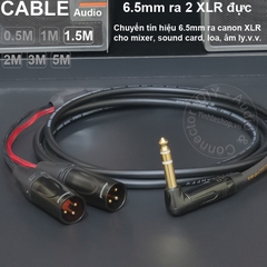 Jack 6 ly ra canon DIY 0.5 đến 5 mét - 6.35mm to 2 XLR male stereo cable