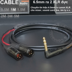 Jack 6 ly ra canon DIY 0.5 đến 5 mét - 6.35mm to 2 XLR male stereo cable