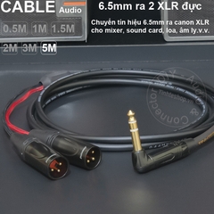 Jack 6 ly ra canon DIY 0.5 đến 5 mét - 6.35mm to 2 XLR male stereo cable