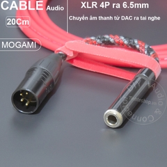 XLR 4 pin sang 6.5mm chuyển âm thanh cho DAC AMP Topping L70 HIFIMAN EF400 Fiio K9 SMSL DO400