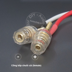 Dây 2 chân sang bắp chuối cho âm ly cổ Châu Âu - DIY 2pin DIN to banana plug audio cable for European amplifier