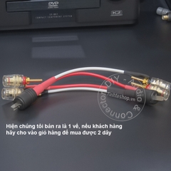 Dây 2 chân sang bắp chuối cho âm ly cổ Châu Âu - DIY 2pin DIN to banana plug audio cable for European amplifier