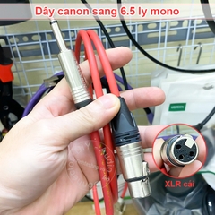 Dây micro thu âm chuyên nghiệp canon sang 6ly Mogami 2549 - Professional recording cable 6.35mm to XLR female