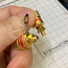 Cọc loa cắm Bắp chuối Mỏ chim Càng cua - Audio jack on the enclosure of the Speaker or Multi-Plug Amplifier