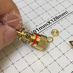 Cọc loa cắm Bắp chuối Mỏ chim Càng cua - Audio jack on the enclosure of the Speaker or Multi-Plug Amplifier