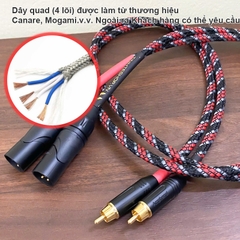 Dây RCA sang XLR đực cho Đẩy Accuphase P-450 tùy chỉnh kích thước và đầu vào