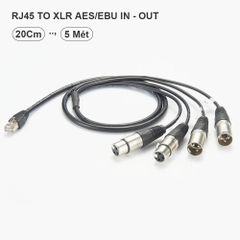 RJ45 AES/EBU to XLR in/out for Tieline Bridge-IT XTRA II