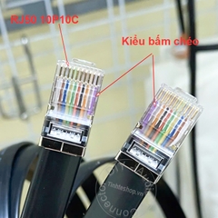 Dây mạng 10 pin RJ50 RJ48 đầu bọc sắt bấm chéo - 10 Core Pure Copper RJ50 Extension Cable