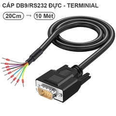 Dây RS232 DB9 đực terminal kẹp cos đấu nối nhanh tùy chỉnh kích thước giao tiếp và sơ đồ