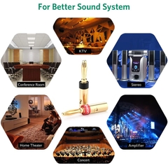 Bộ 4 chiếc Jack bắp chuối đồng mạ vàng 24K Ugreen 30513 - Banana audio jack plug