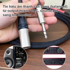 Dây nhạc cụ phòng thu 6.5mm TRS sang XLR đực balanced