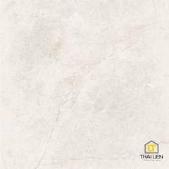 Gạch ốp, lát Taicera 30x60,60x60 TL068845