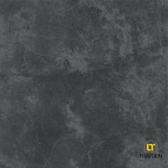 Gạch ốp, lát Taicera 30x60,60x60 TL068849