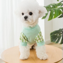 Vòng cổ cho chó mèo kèm dây dắt Ambaby