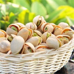 Hạt dẻ cười 500g