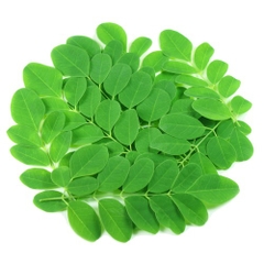 Xà bông chùm ngây Cô Ba Cocosavon 100gr