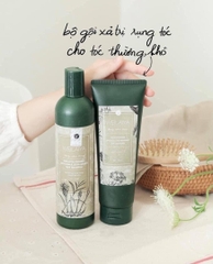 Cặp Gội Xả Weilaiya Gừng Hà Thủ Ô (Nâu) + Set Mini