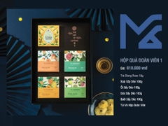 Hộp quà Đoàn Viên 1