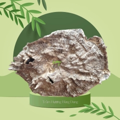 Trầm hương các loại