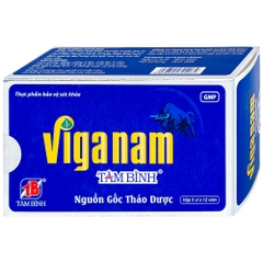 Viganam Tâm Bình